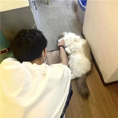 姓张网名沙雕男生英文版