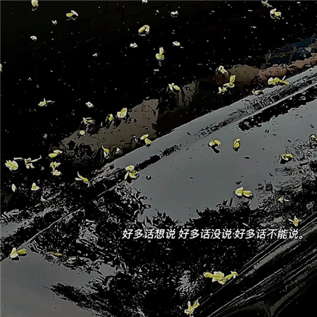最流行的伤感网名女生