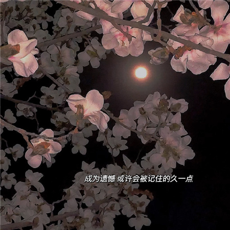 伤感单字歌名女生网名