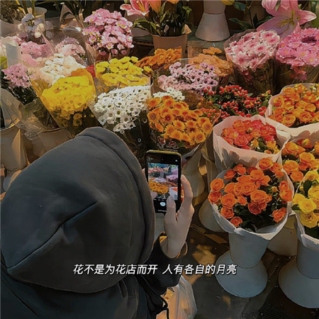 带字网名女生伤感霸气