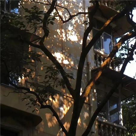 孤单伤感霸气网名男生