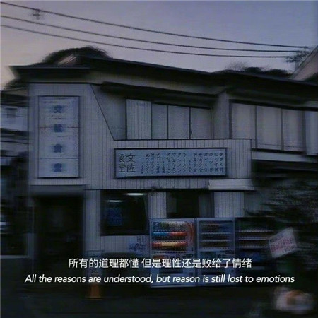 猪伤感的网名女生